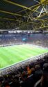 Newcastle: Champions League