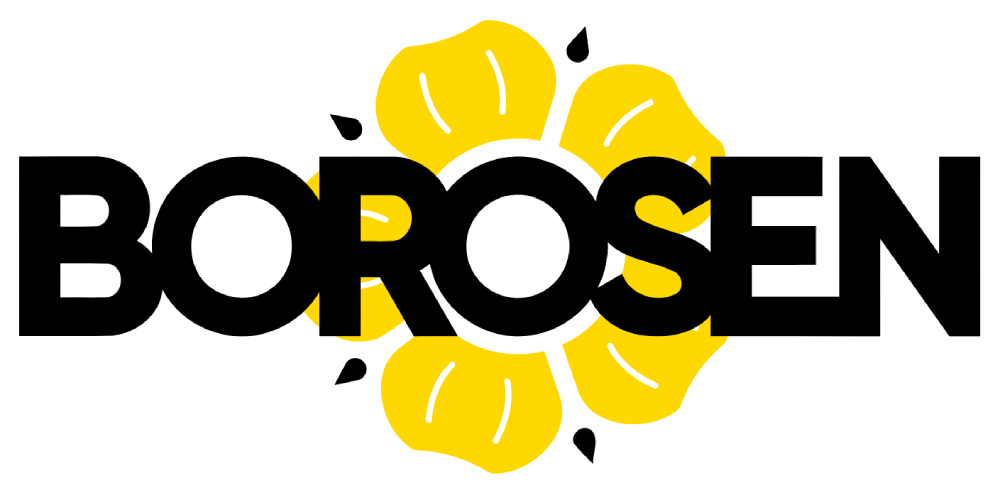 Logo Borosen