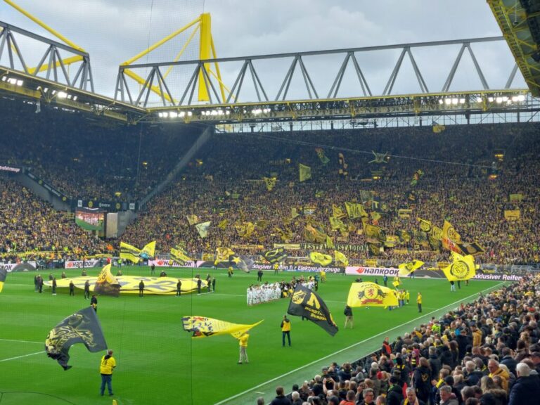 Bvb mainz 2025 02