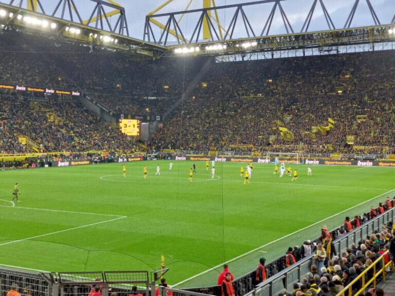 Bvb mainz 2025 03