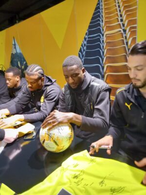 Frühlingsempfang bvb (11)