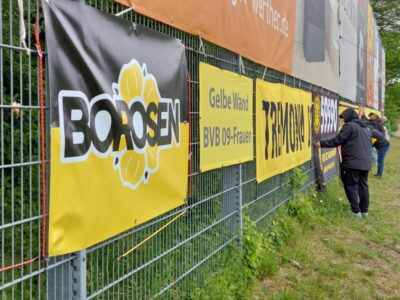 Borosen Banner in Werther
