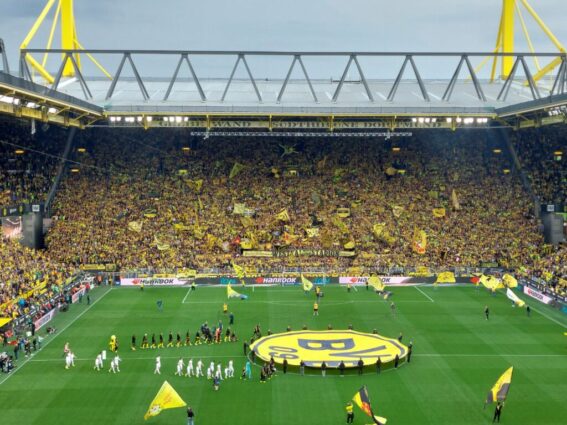 Vip @ bvb wob (3)