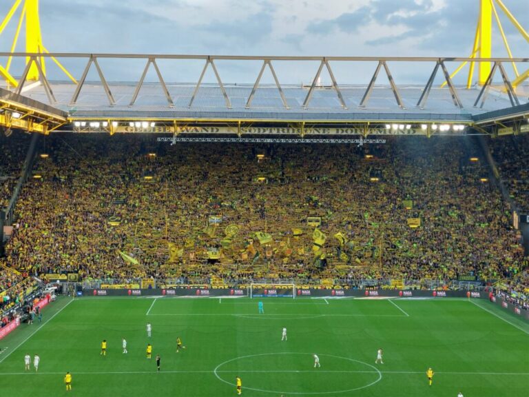 Vip @ bvb wob (6)