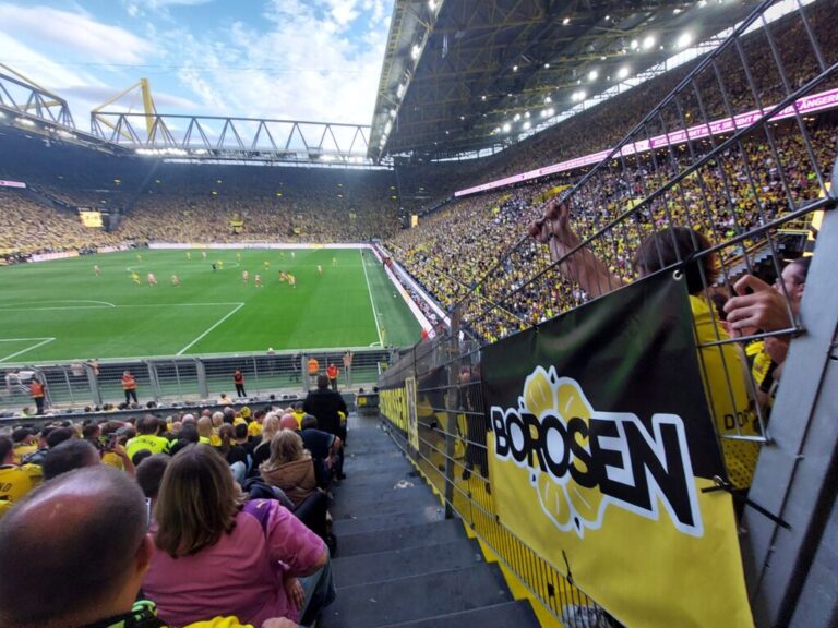 10 bvb union banner
