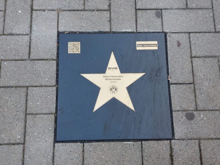 12 bvb union stern mats hummels