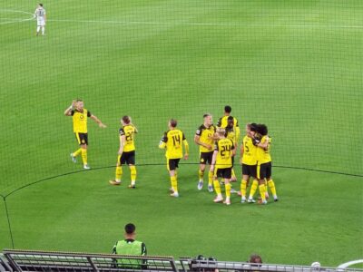 Bvb wob torjubel
