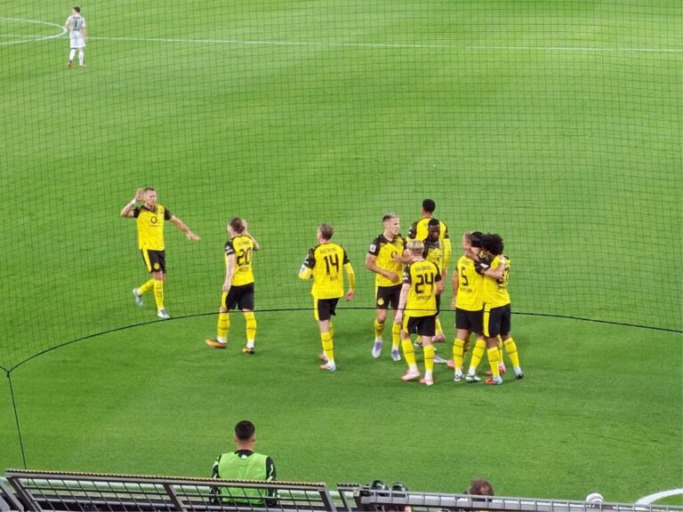 Bvb wob torjubel