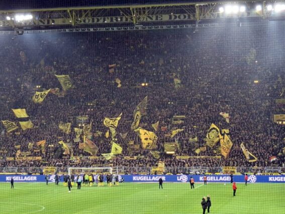 Bvb köln feiern vor der südtribüne