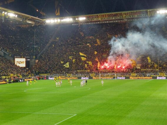 Bvb köln tor für dortmund