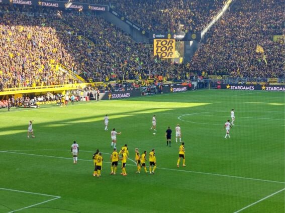 Bvb rb 03 tor für den bvb