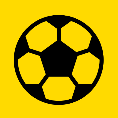 Ballspielverein borussia aus dortmund