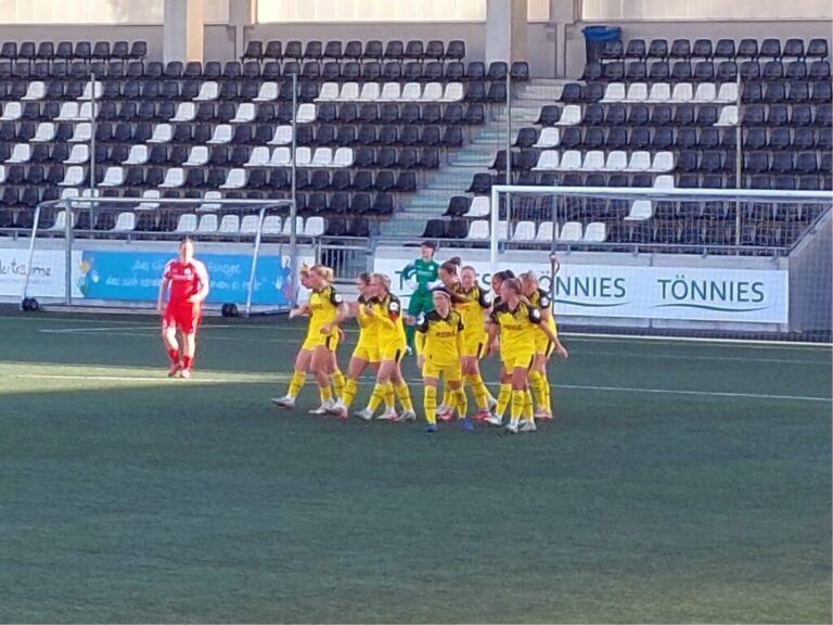 Fsv gütersloh bvb tor bvb