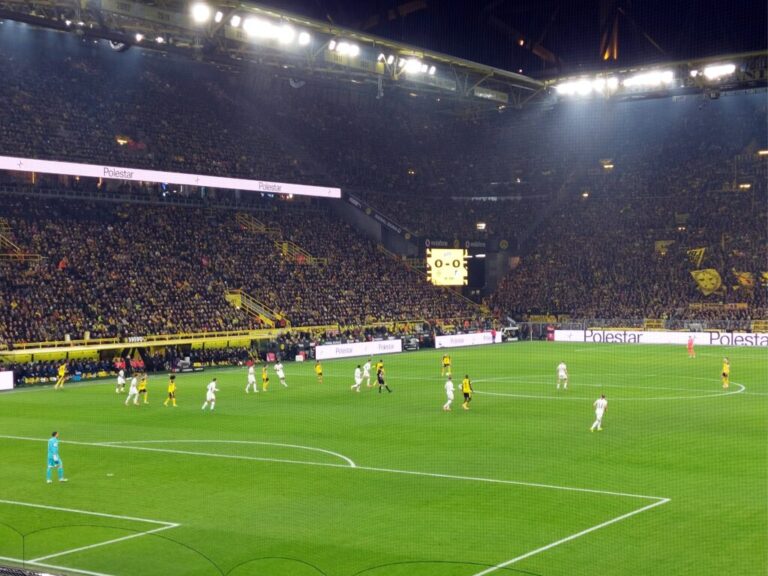 BVB Hoffenheim 1. Halbzeit
