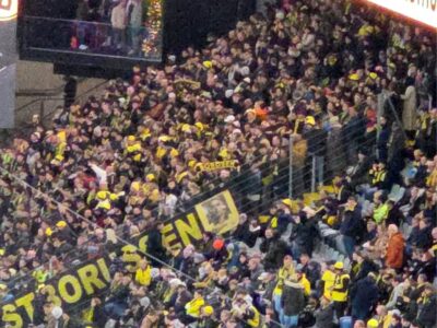 BVB Hoffenheim Borosen Schal