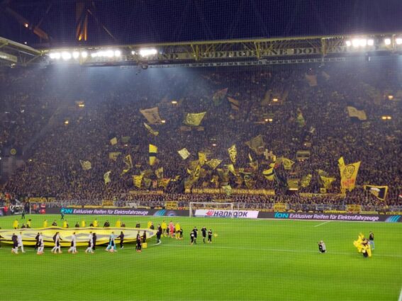 BVB Hoffenheim Einlauf der Mannschaften