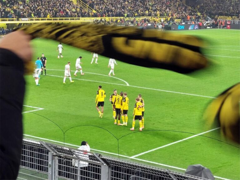 BVB Hoffenheim Führungstreffer Brandt