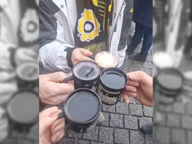 BVB Hoffenheim Getränke