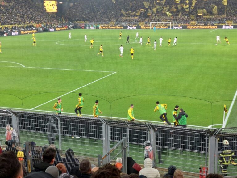 BVB Hoffenheim Warmmachen