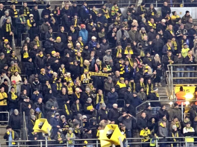 BVB Inter Borosen Schal