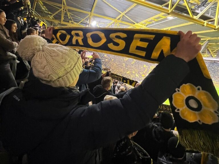 BVB SVW Borosen Schal