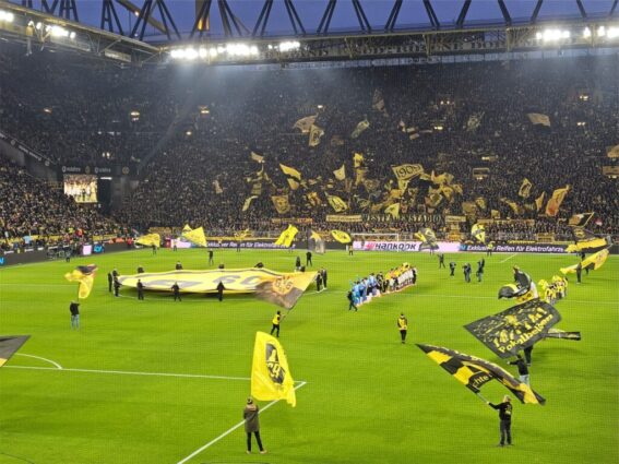 BVB Heidenheim Einlauf der Mannschaften