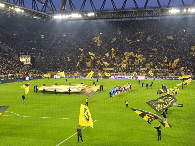 BVB Heidenheim Einlauf der Mannschaften