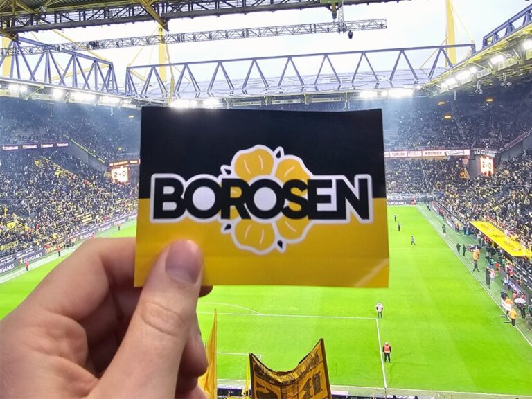BVB Augsburg Borosen Sticker