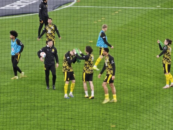 BVB Bayern Leibchen