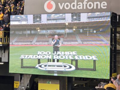 BVB HSV Nobby aus dre Roten Erde