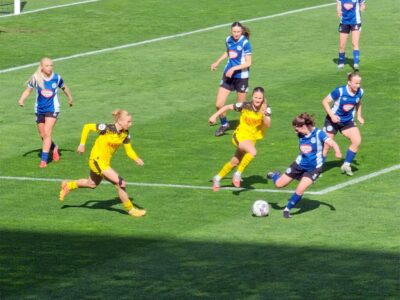 BVB Frauen Arminia Bielefeld Vogel fokussiert