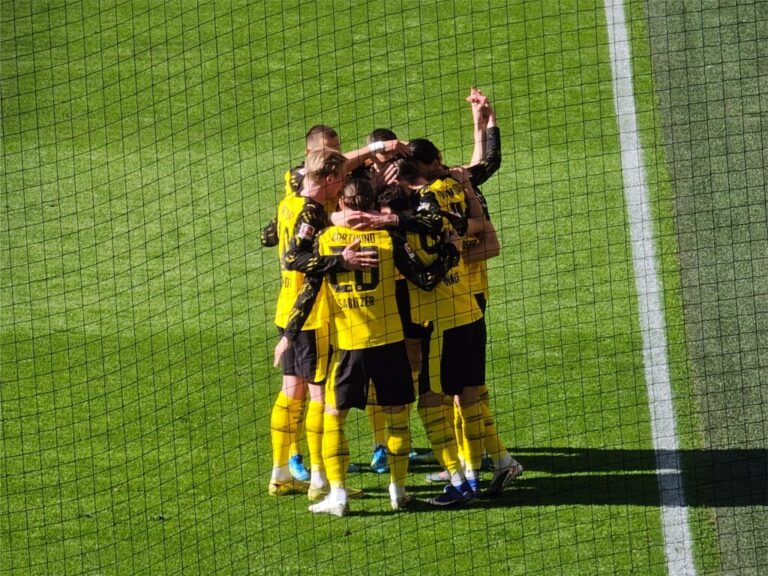 BVB Freiburg Torjubel