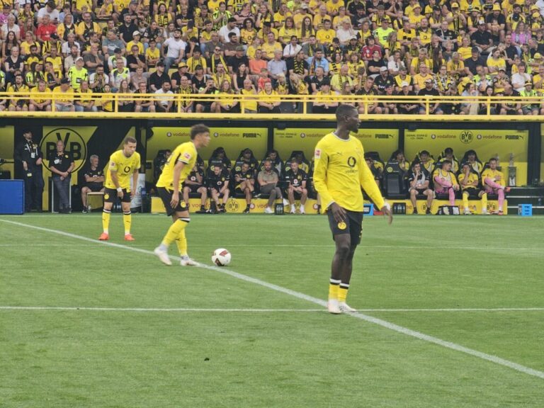 Saisoneröffnung BVB AS Rom (10)