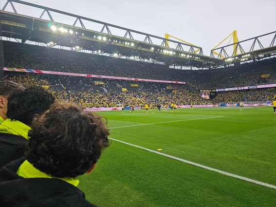 BVB HSV