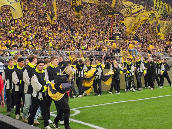 BVB HSV