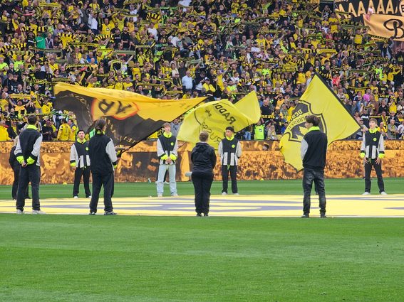 BVB HSV