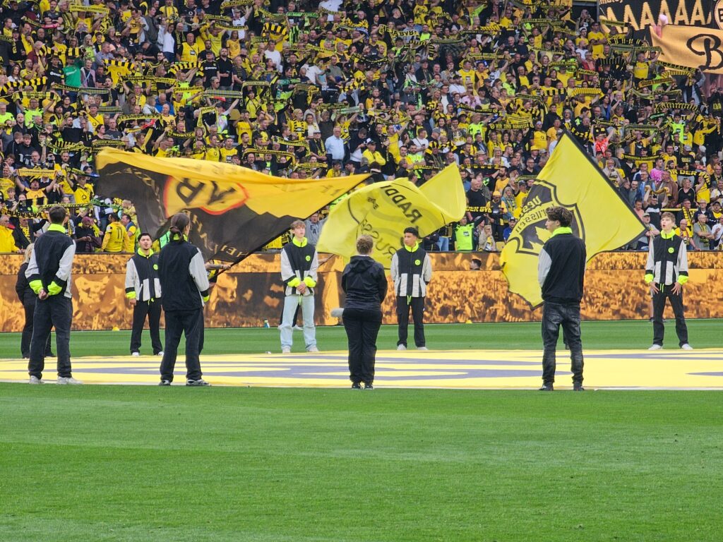 BVB HSV