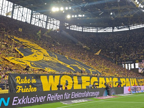 BVB HSV
