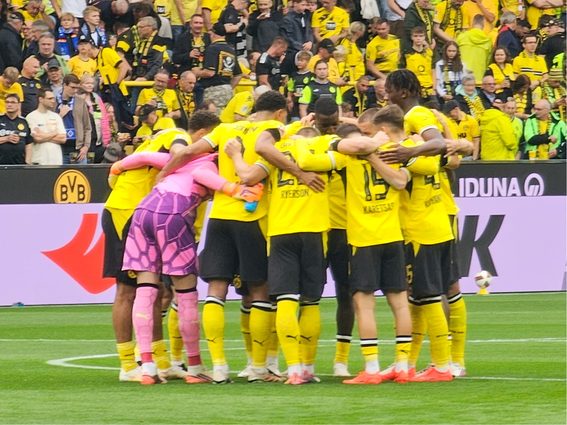 BVB HSV