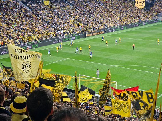 BVB HSV