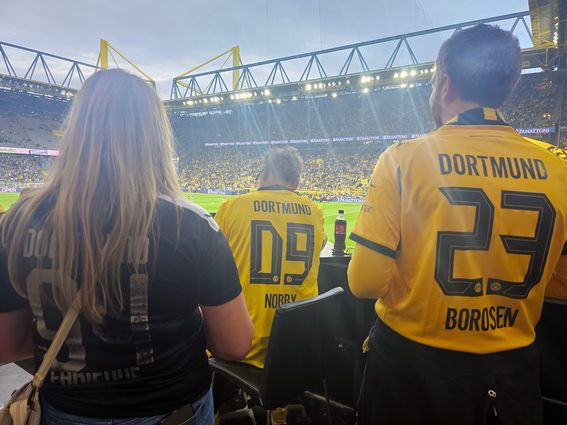 BVB HSV