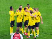 BVB Frankfurt Torjubel