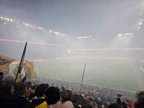 BVB Frankfurt Vernebelt